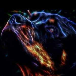 Meet your Posher, Sylvia